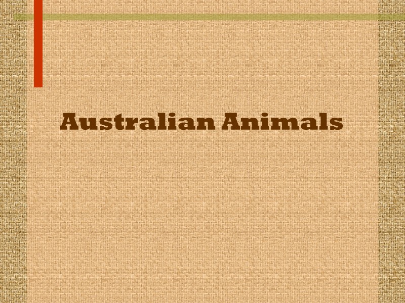 Australian Animals